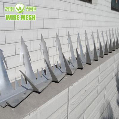 China Not easy to bend and corrode high security anti climb wall spike with competitive price bird spike for sale