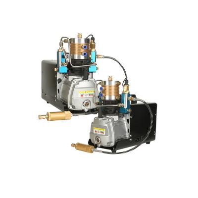 China High pressure lubricated pcp 220v air compressor pump for sale