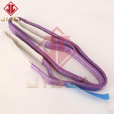 China Lifting Crane Ring Sling Industrial Sling Colorful Polyester Flexible Color High Strength Flat Sling for sale