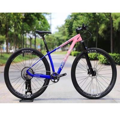 China Hot Selling Carbon Fiber MISSILE Carbon Fiber Mountain Bike 12 Speed ​​29er Cycling Mountain Bike for sale