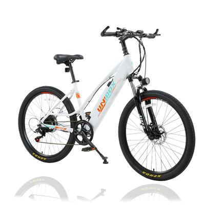 China Hot High Quality Aluminum Alloy China Manufacturer 10Ah Electric Bike 36V/48V 250W/350W/500W City Electric Bike for sale