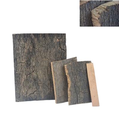 China Dikte 525mm Natuurlijke Eiken de Schors Grondstof van Cork Bark Imported Portugal Cork Te koop