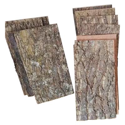 China Peso leve natural de Toxicless Cork Panels Soundproofing Wall Tiles Eco à venda