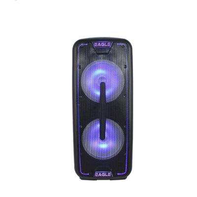 China EZCast 12 Inch Loud Bass Bass Part Bass Guitar FM USB Port USB Port SD Card Play Microphone Remote Portable Speaker With BT for sale