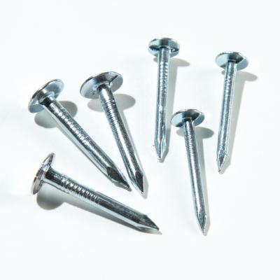 China Flat Flat Head Concrete Cloth Nails Roofing Nails for sale