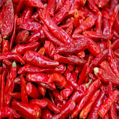 Китай Dried Birds Eye Chilli Rich In Essential Vitamins And Minerals продается