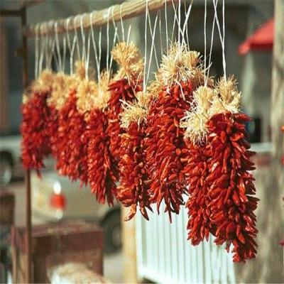 Chine Dried Bullet Shaped Red Chili Hat with Intense Flavor à vendre