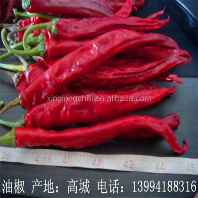 China Pimenta seca de Erjingtiao com nenhuns hidrato de carbono da informação & do total 65.5g do alérgeno à venda