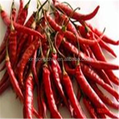 China 8000shu Erjingtiao Bolsa sellada al vacío de chiles secos Carbohidrato total 65,5 g en venta