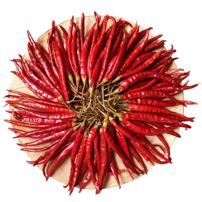 Китай Calcium Rich Dried Birds Eye Chilli For Bold And Spicy Culinary Creations продается