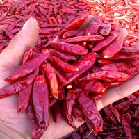 China Pfeffer Chilli Feuchtigkeit 12% max Feuchtigkeitskontrolle Pfeffer zu verkaufen