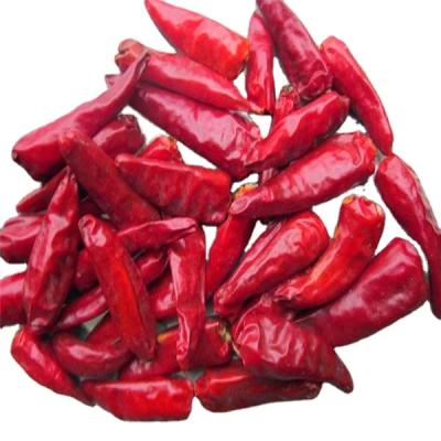 China 2% Max Broken Rate Air Dried Red Bullet Chilli with Sample and Freight Collected for sale