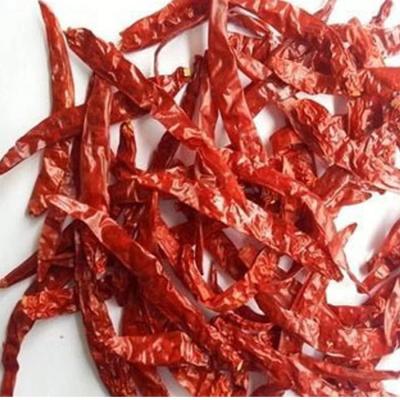 China 10-20 cm Süßes Chili mit Gewürz und Würzpulver zu verkaufen