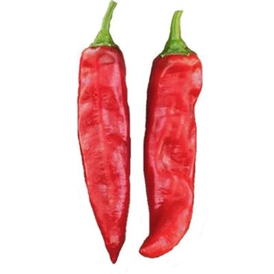 China All Natural Dried Paprika Peppers with Mild Heat Level for sale