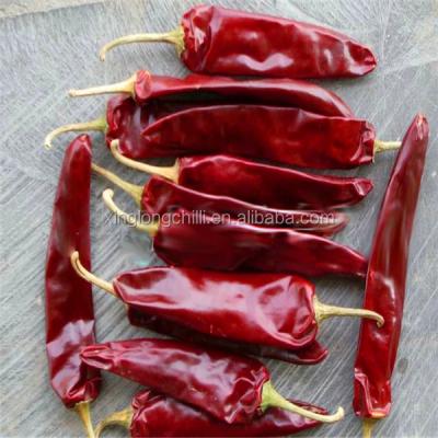 China Chilis calientes secos sabrosos y picantes para pequeñas empresas alimentarias en venta