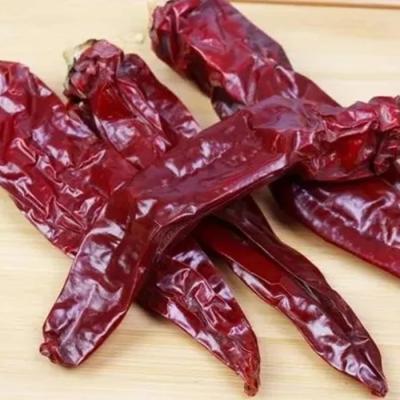 China Ingrediënten Chilipepers Chinese gedroogde chilipepers met een lengte van 4-14 cm en een houdbaarheid van 1 jaar Te koop