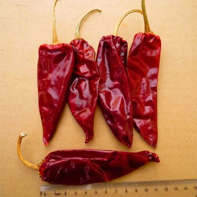 China Chili Peppers Ingredients Sichuan Facing Heaven Chillies High In Vitamin C Nutrition Facts for sale