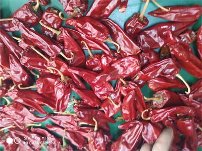 Китай Слабые высушенные Chilies 5000SHU происходить для ранга стручков высушенных красных Чили продается