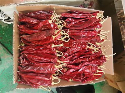 China Spain Origin Dried Red Hot Chili Peppers With Stem Irresistible Flavor 12000shu for sale