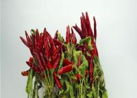 Chine Piments secs entiers de 7CM aucun poivrons secs épicés refoulés par additif à vendre