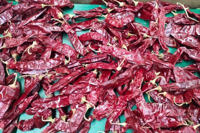 China XingLong trocknete Paprika Peppers, die 16CM roten Chili Pods entwässerte zu verkaufen