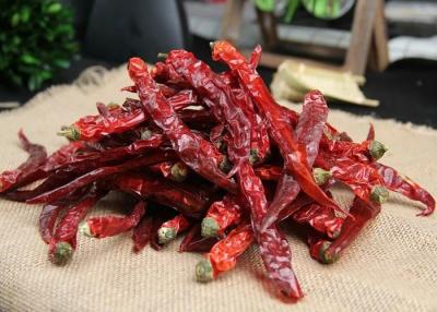 Cina Baccelli rossi di SHU10000 Xian Chilli Pungent Flavor Dried Cile 10 PPB in vendita