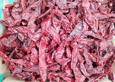 China De marinades gebruiken Droge Guajillo-Spaanse peper 7cm In de zon gedroogde niet Kruidige Spaanse pepers Te koop