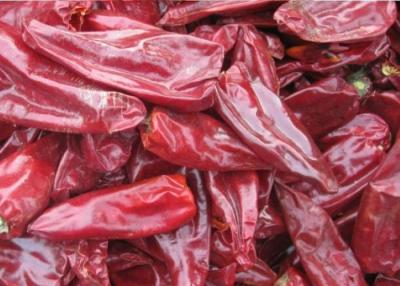 China Stemless Droge van de Peperheb van Guajillo Chili het Blokvorm zonder Stam Te koop