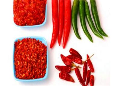 China De culinaire Rode Spaanse pepers van Tianjin een Rang Droog Roodgloeiend Chili Peppers Te koop