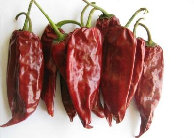 China Raw Yidu Chili Zero Additive 2000 Scoville Long Dry Red Chilli for sale