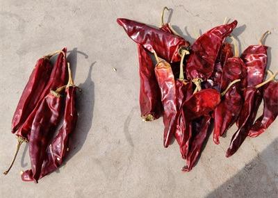 China De droge Lange Rode Peper van Spaanse pepers Zoete Organische Guajillo 10cm Lengte Te koop