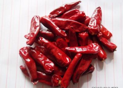 China 8000 SHU Chinese Dried Chili Peppers 7CM Scherpe Ontwaterde Hete Peper Te koop