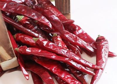 China Asian Spicy Tianjin Dried Chili Peppers 100g Small High In Vitamin C for sale