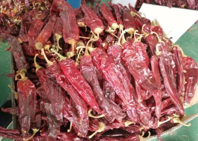 China Guajillo Sun Dried Chilli Red Guajillo Peppers Sweet Flavor KOSHER Te koop