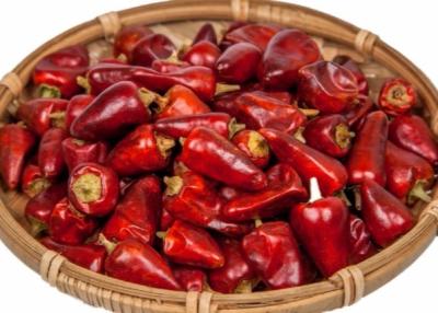 Chine Les piments rouges acaules de balle ont déshydraté 25000 SHU Dried Spicy Peppers à vendre