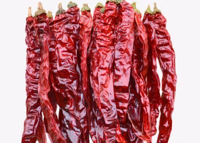 Cina L'ANNUNCIO ha asciugato gli interi peperoncini rossi secchi di Xian Chilli 20CM non irradiati in vendita