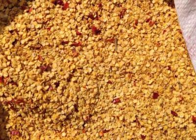 China Körnchen trocknete Paprikas sät 10PPB 15000 SHU Spicy Pepper Seeds HACCP zu verkaufen