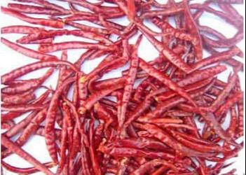 China High Nutritional Value Red Dried Peppers Made with Chili Peppers Delicious and Healthy à venda