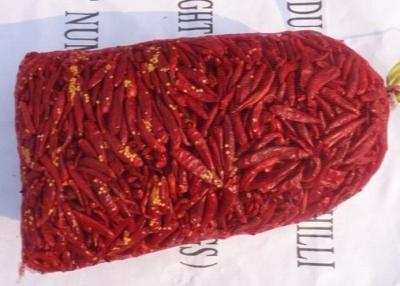 China 7CM Dried Asian Chili Peppers 10000SHU Dried Long Red Chillies for sale