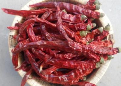 China Guizhou Mantianxing Millet Pepper Dry Chili Hot Pot Seasoning Raw Material Spices for sale