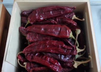 China Ontwaterde 15%-Vochtigheid Rode Guajillo Chili Pepper Sweet Cherry Te koop