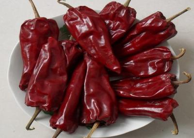 Китай Высушенный Chili Yidu с рангом a стержня высушил красные стручки Чили продается