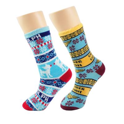 China M17 antibacterial (COMFORTABLE SOCKS) 2 design comfortable crew socks for women scrambled socks for sale