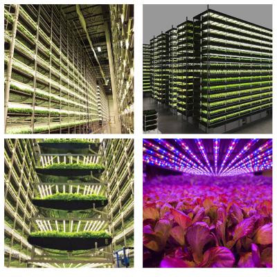 China Stable Structure Easily Assembled Indoor Plant Hydroponic Vertical Tower Smart Farming Greenhouse for sale