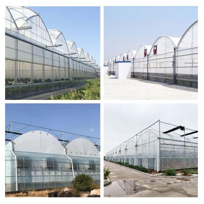 China Stable Structure Easily Assembled Hydroponic Grow System Single Layer Agricultural Greenhouse for sale