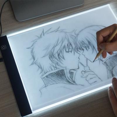 China A4 LED Acrylic Ultra Thin Light Box Light Shield Tablet Discovery Graphic Design for Kids for sale