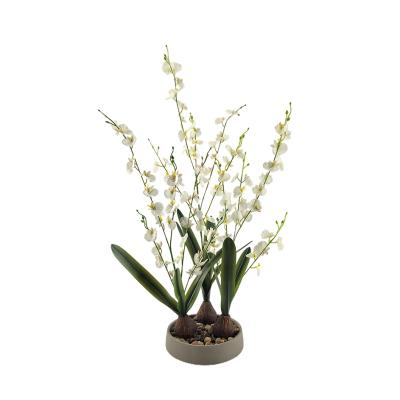 China Environmental protection dancing orchid living room display simulated simple factory to create the real simulated factory gifts furniture custom decoration for sale