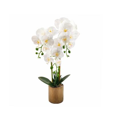 China Wholesale Environmental Protection Artificial Flower Wedding Decoration And Factory Artificial Indoor Life Garden Art Orchid Butterfly Orchid for sale