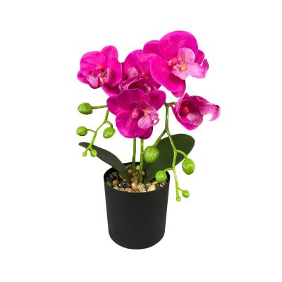 China Wholesale wedding decoration artificial orchid flower plant table basin wall hanging art home decoration for sale