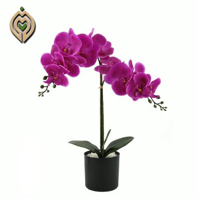 China High Quality Eco-friendly Real Touch Artificial Orchids Flower Silk Fabric Film Orchid For Wedding Party Home Decoration for sale